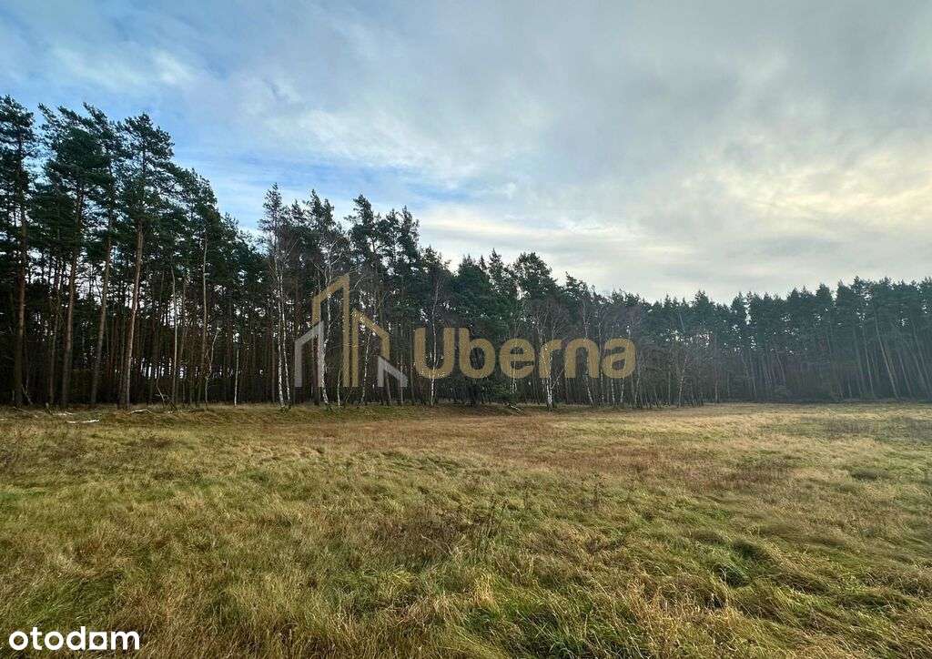 Działka rolna Gm.Goleniów na sprzedaż-6