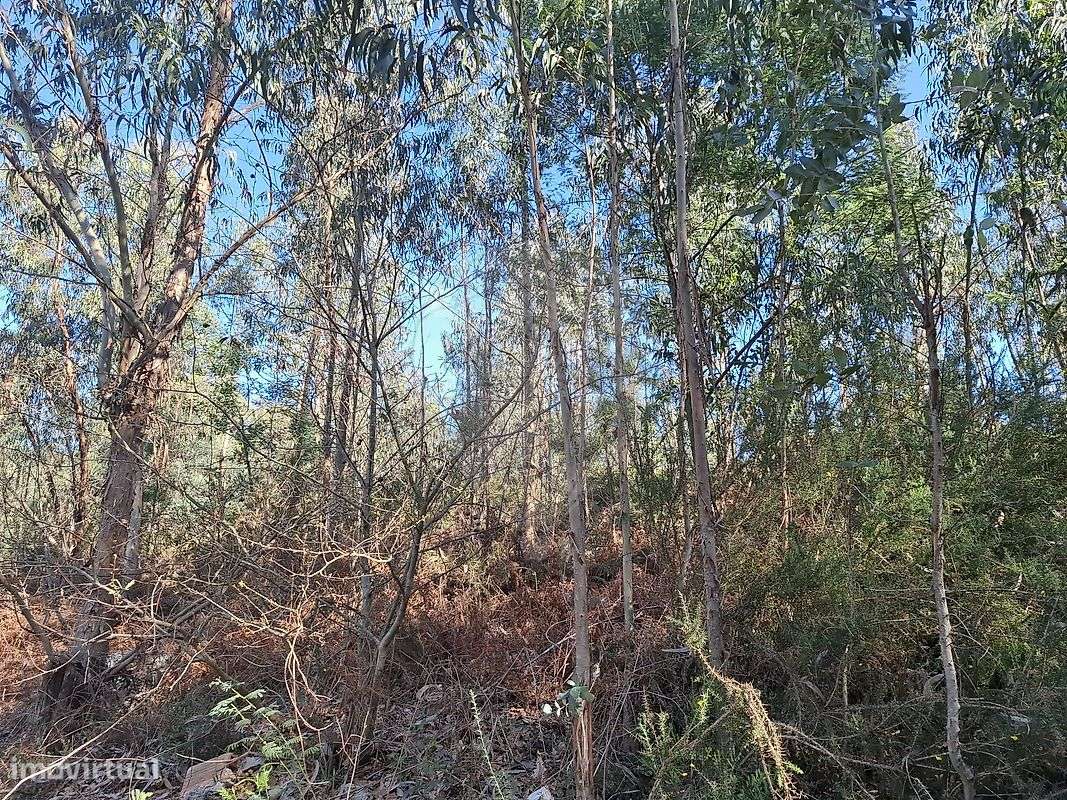 Terreno  para venda - Grande imagem: 4/6