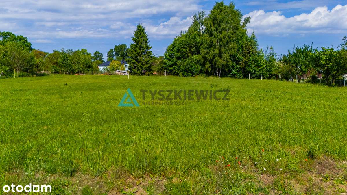 Urokliwa działka nad morzem 1000m2  przy lesie - Pełny obrazek: 4/9