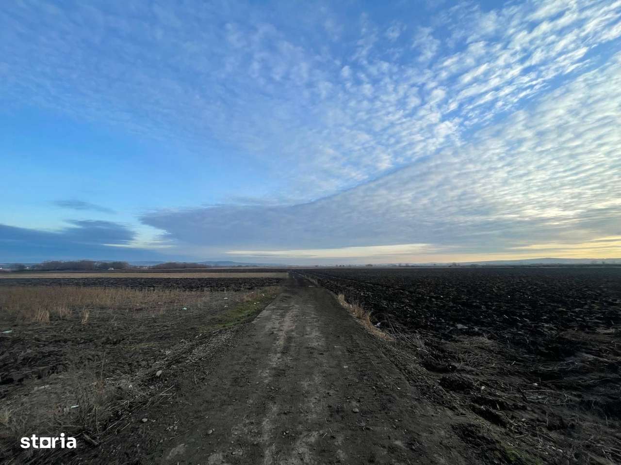 TEREN EXTRAVILAN | 82 ARI | PERIFERIA ORASULUI - Imagine principală: 5/10