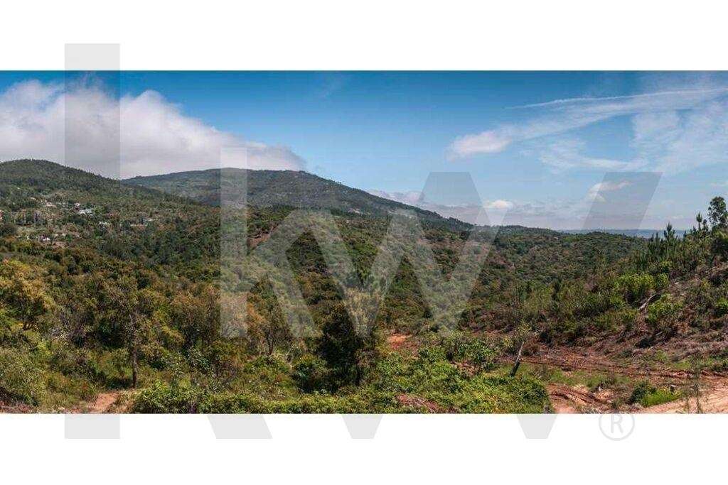 Terreno com 121 ha (200.000m2 urbanizáveis - Turístico) em Caldas de M - Grande imagem: 2/18