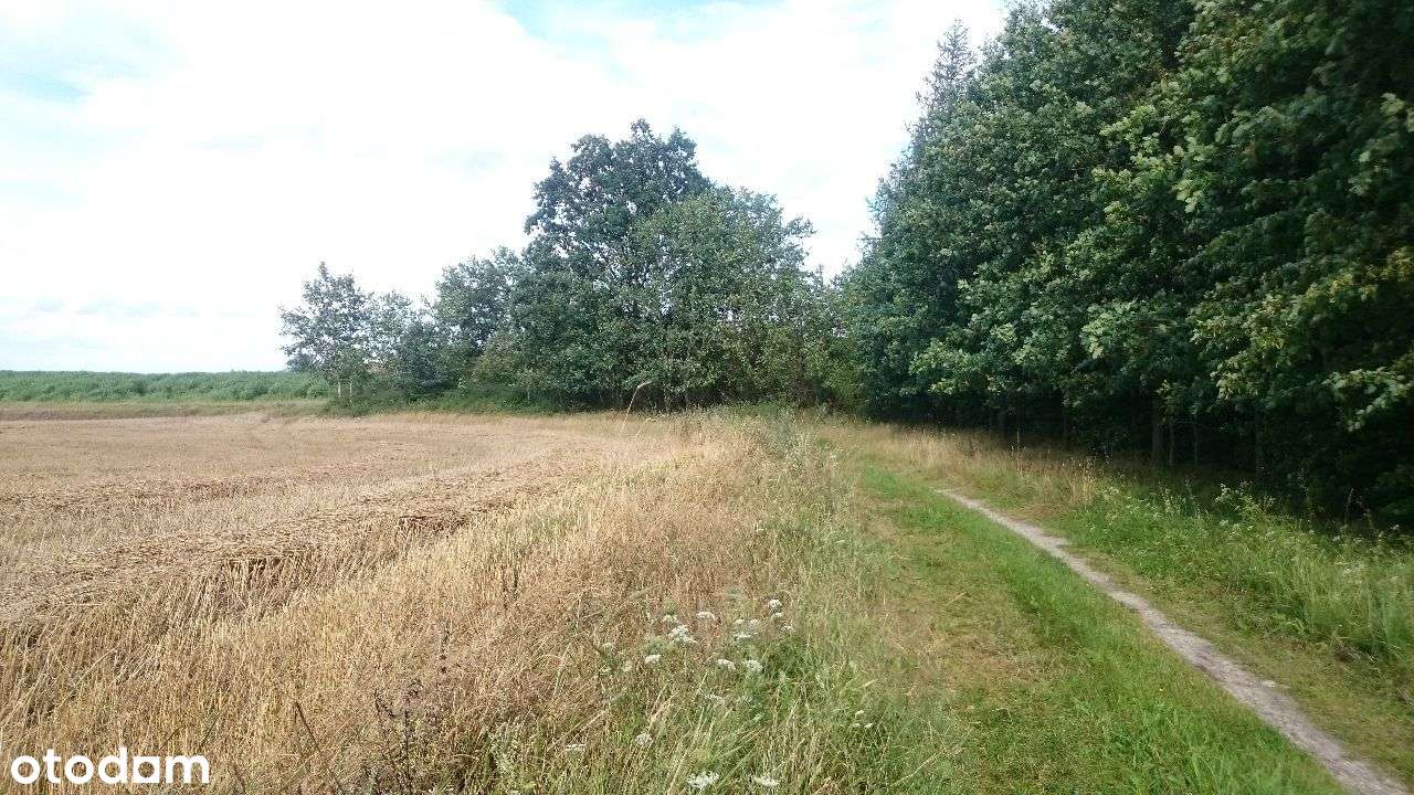 Ładne działki, las, jezioro-Nienawiszcz-PROMOCJA!!-7