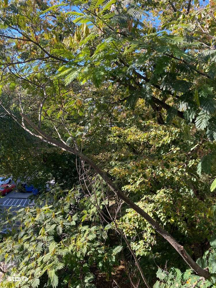 Giurgiu  ocazie- Aleea Alexandriei  ap 3 cam circular 4/4,-19