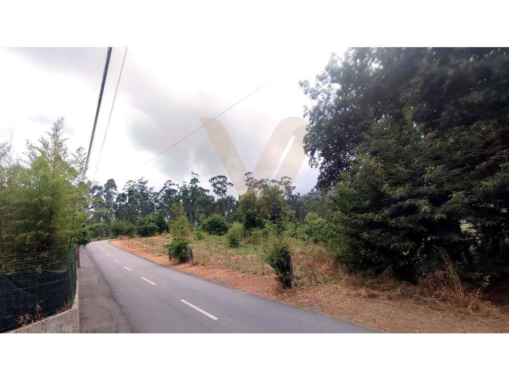 Terreno para construção | Poiares, Ponte de Lima - Grande imagem: 2/5