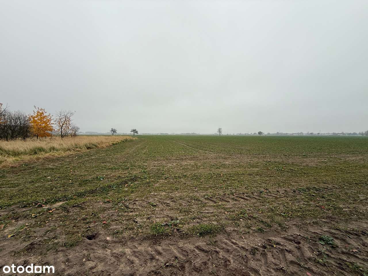 Grunt inwestycyjny, turystyka, sport i rekreacja, Batorowo-8