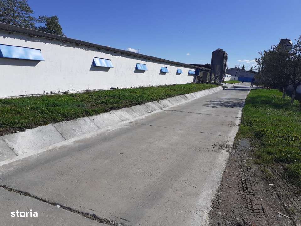 Oferta de vanzare hala 1933 mp,  teren 4620 mp., 380000 Eur - Imagine principală: 4/5