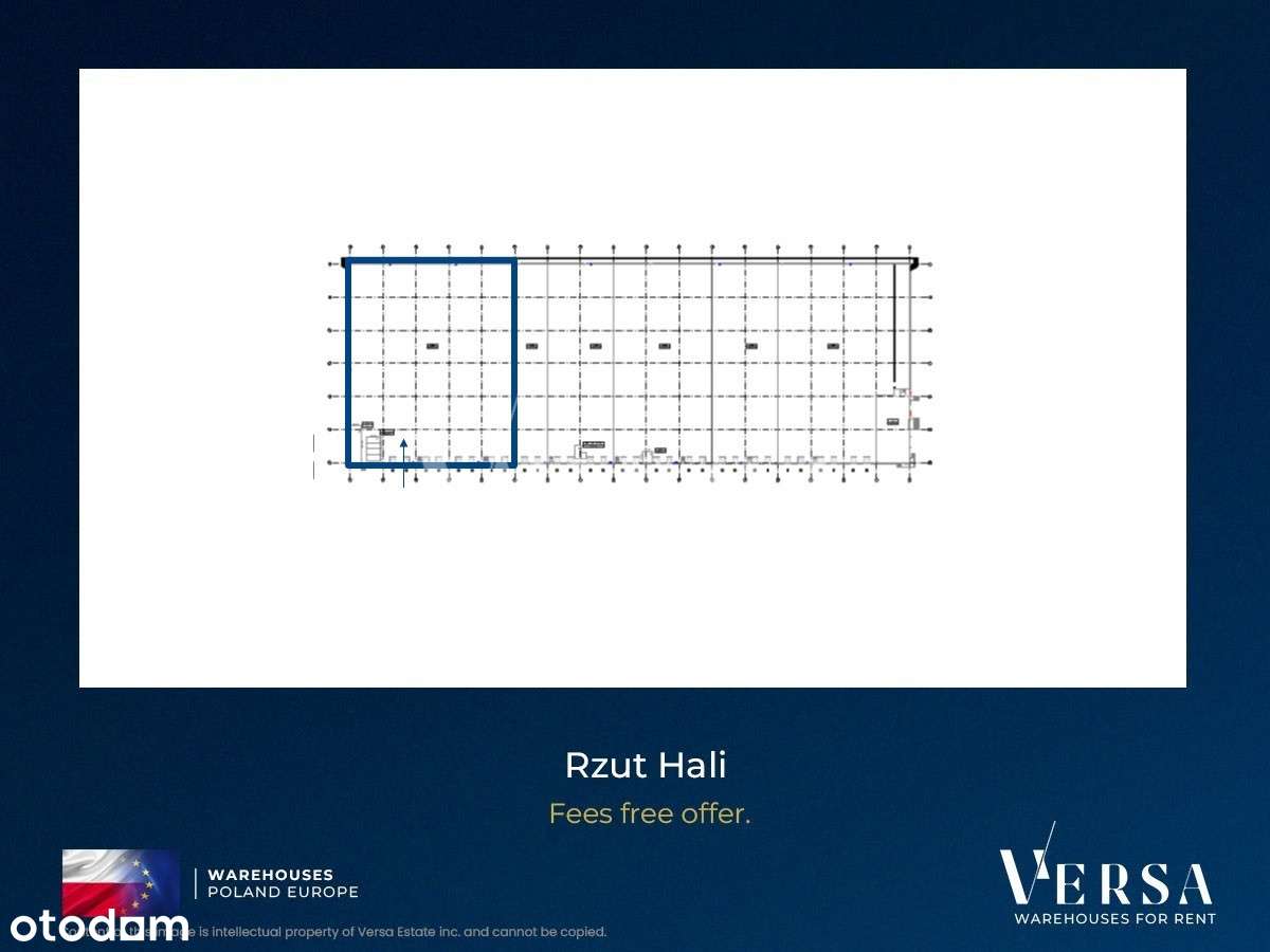 Magazyn 5964 mkw - prowizja 0% - Pełny obrazek: 4/4