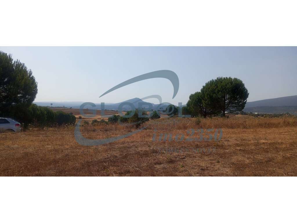 Terreno Venda Torres Novas - Grande imagem: 4/5