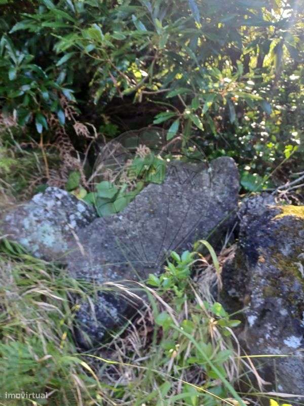 Terreno  para venda - Grande imagem: 5/6