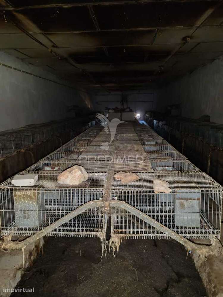 Pavilhão - Grande imagem: 5/21