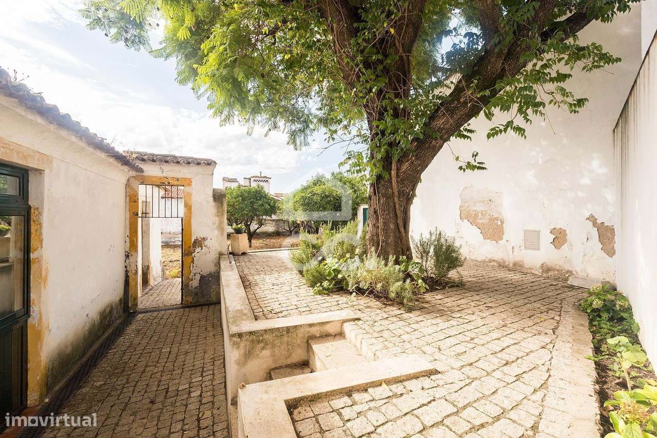 Casa senhorial com amplo quintal e projecto aprovado | Centro Históric - Grande imagem: 5/53