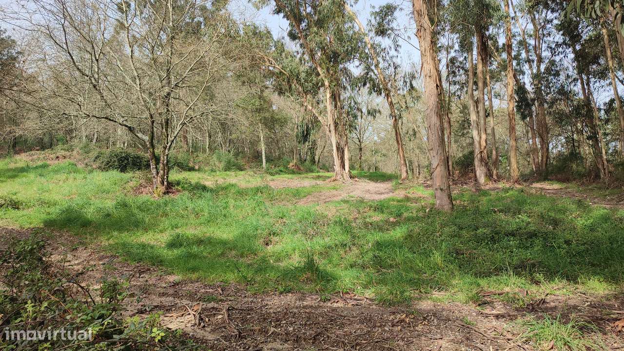Terreno em Turiz, Vila Verde-5