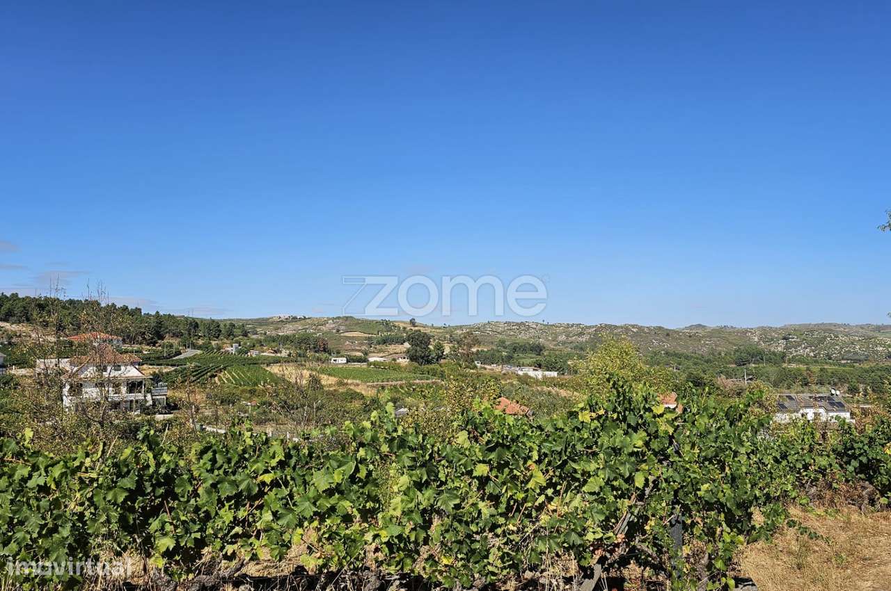 Terreno Rústico Urbanizavel – Presandães, Alijó - Grande imagem: 2/11