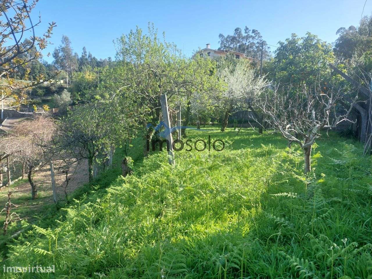 Quinta T4 em Travanca, Oliveira de Azeméis-17