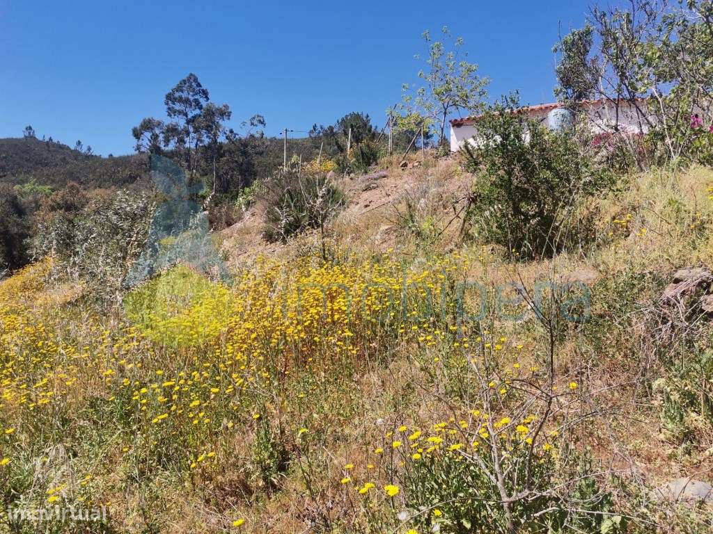 Quintinha para recuperar em Monchique - Grande imagem: 2/9