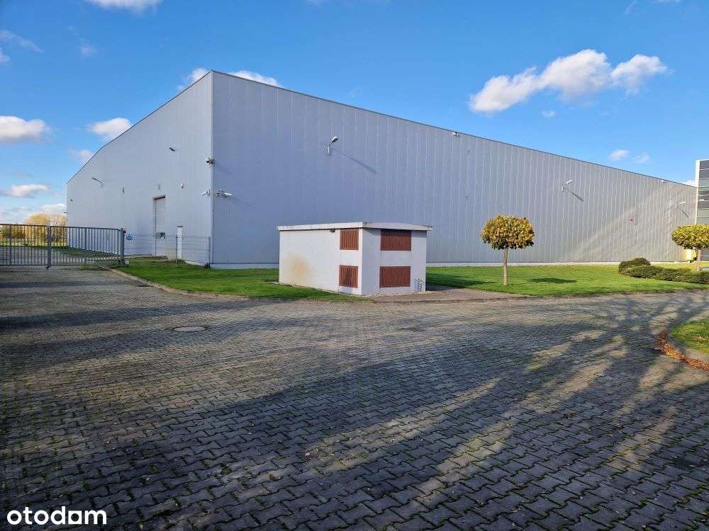 Właściciel - Magazyn, Produkcja, Handel BEZPOŚREDO - Pełny obrazek: 5/10