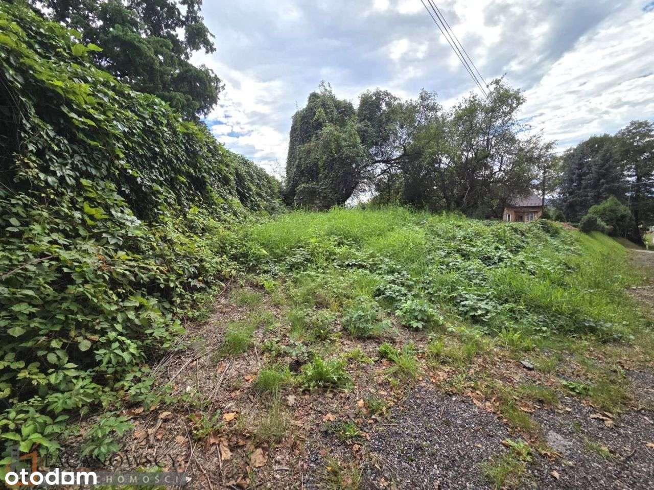 Działka, 3 395 m², Nowa Wieś Szlachecka-3