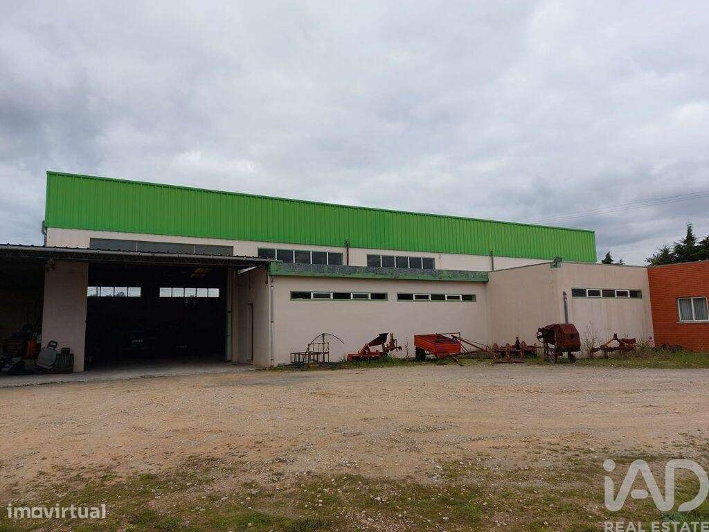 Loja / Estabelecimento Comercial T3 em Cantanhede e Pocariça de 828,00 - Grande imagem: 4/16