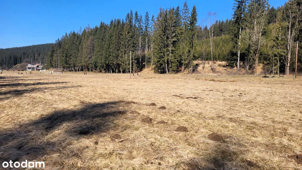 Działka budowlana, 6000 m2, Jaworzynka - Pełny obrazek: 5/13