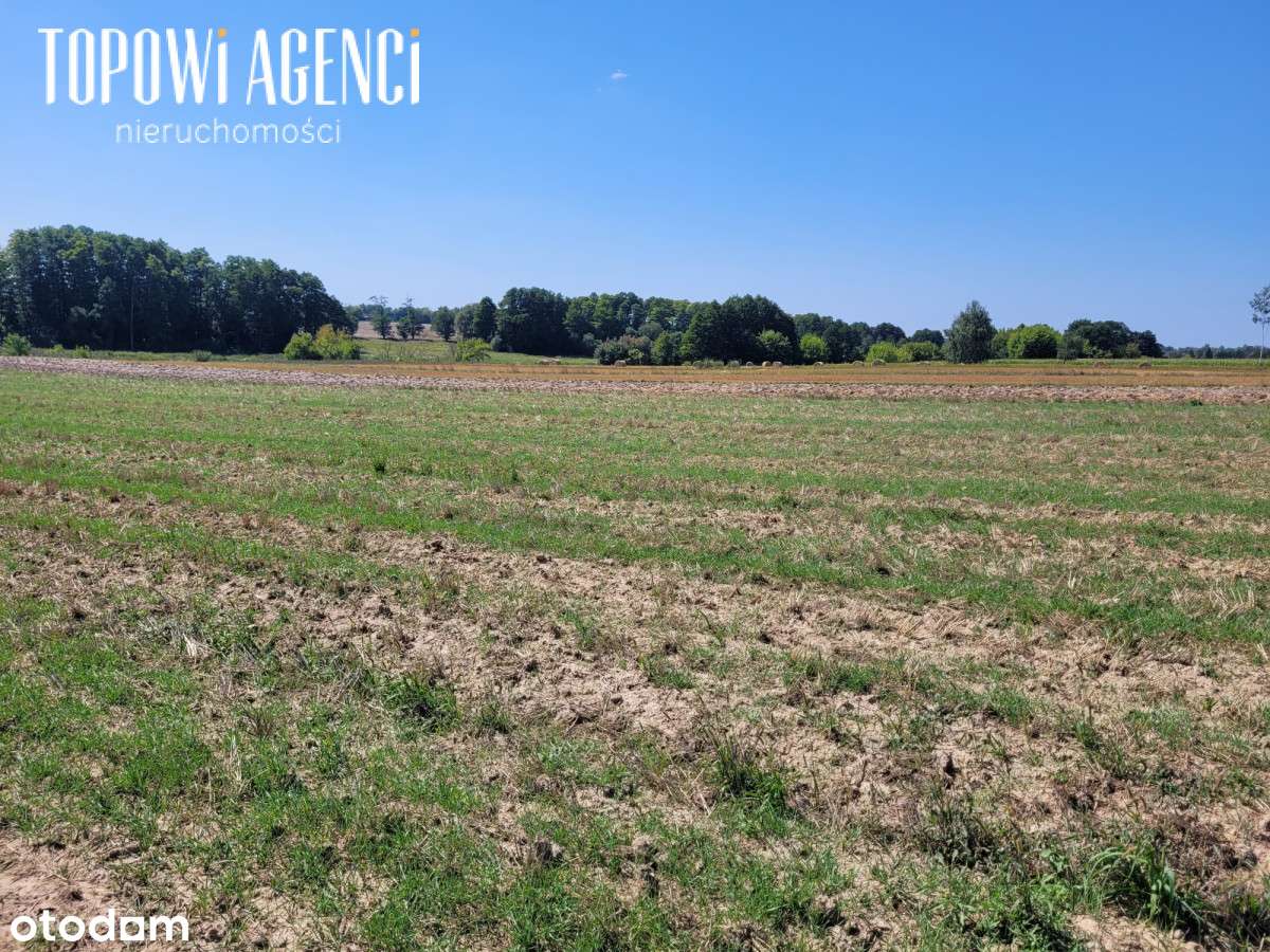 Działka nad rzeką,Park Kampinoski warunki zabudowy-15