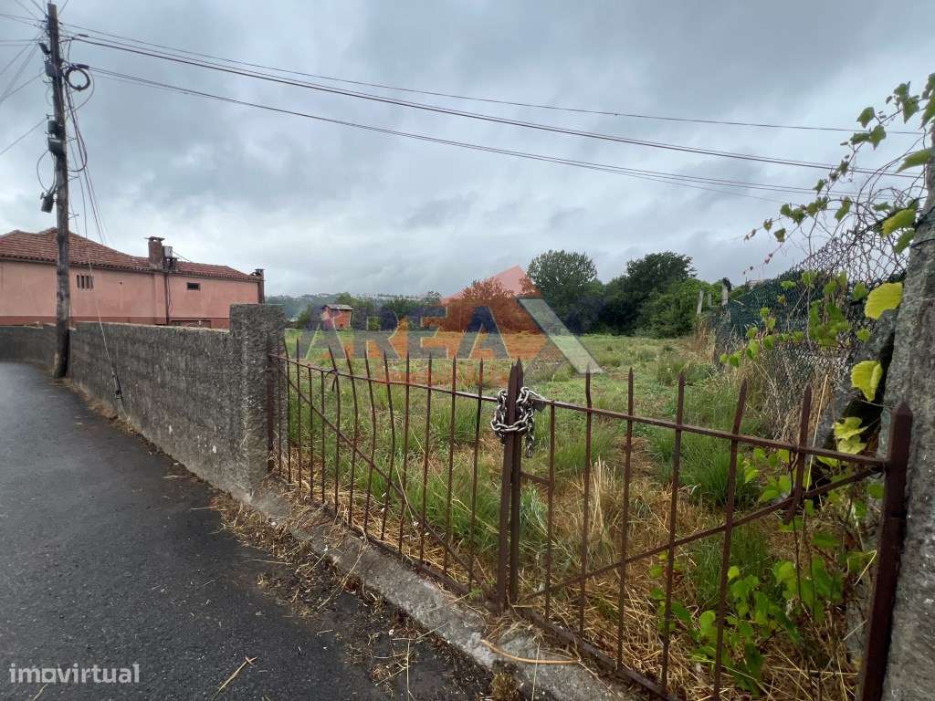 Terreno com 3.900m2, perto de Oliveira de Azeméis-1