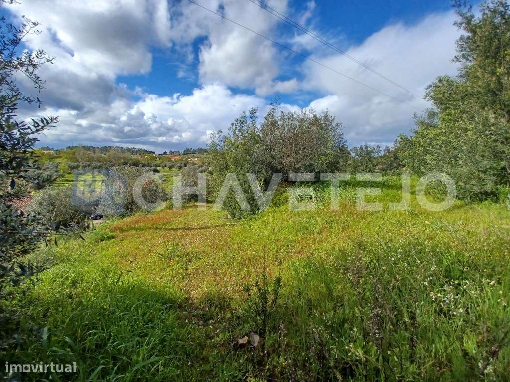 Terrenos com ruínas perto de São Pedro de Tomar. - Grande imagem: 2/15