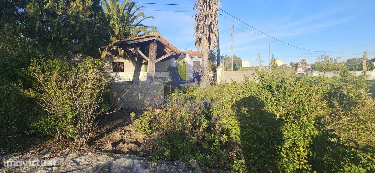 Moradia T3 Cartaxo - Grande imagem: 5/51