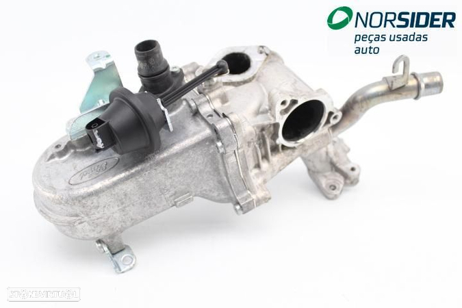 Radiador de gases EGR Ford Focus|14-18 - 1