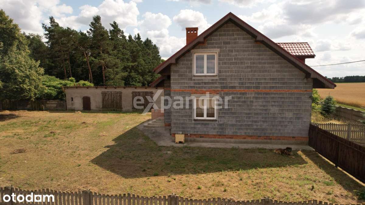 Dom z potencjałem na dużej działce 3,83 ha - Pełny obrazek: 4/17