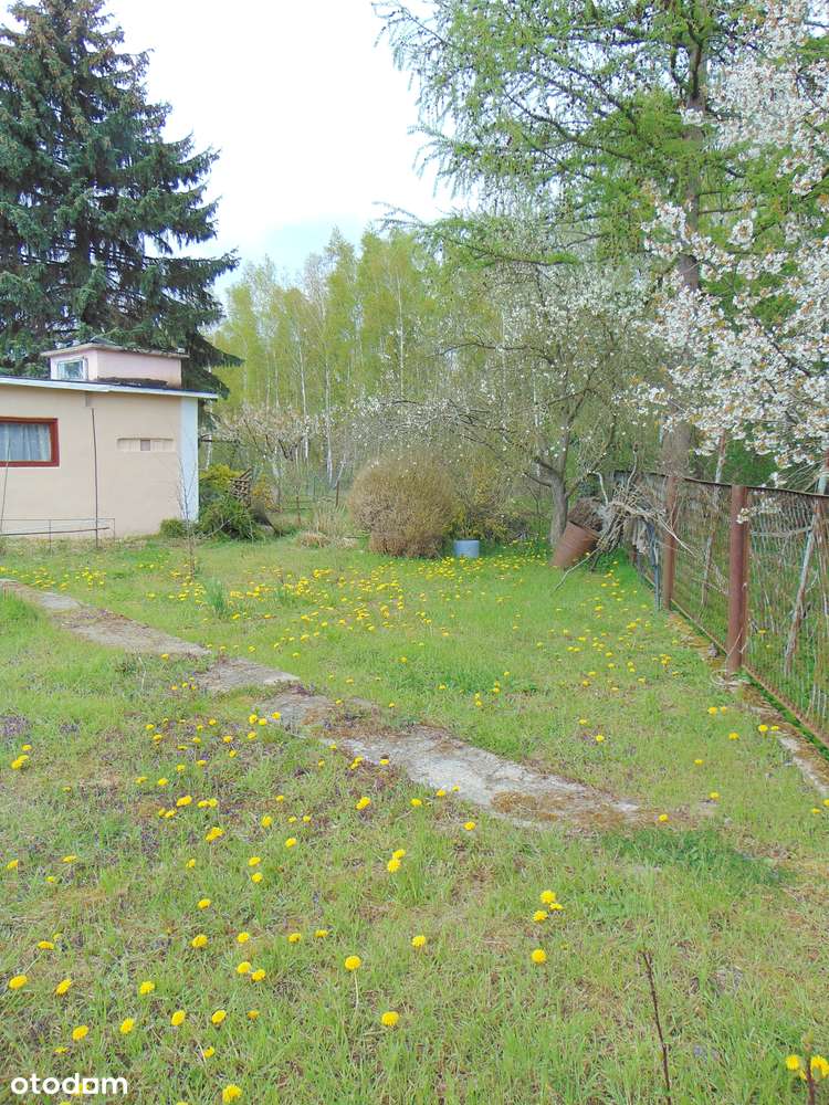 DZIAŁKA OGRODOWA ROD „MŁODOŚĆ-8