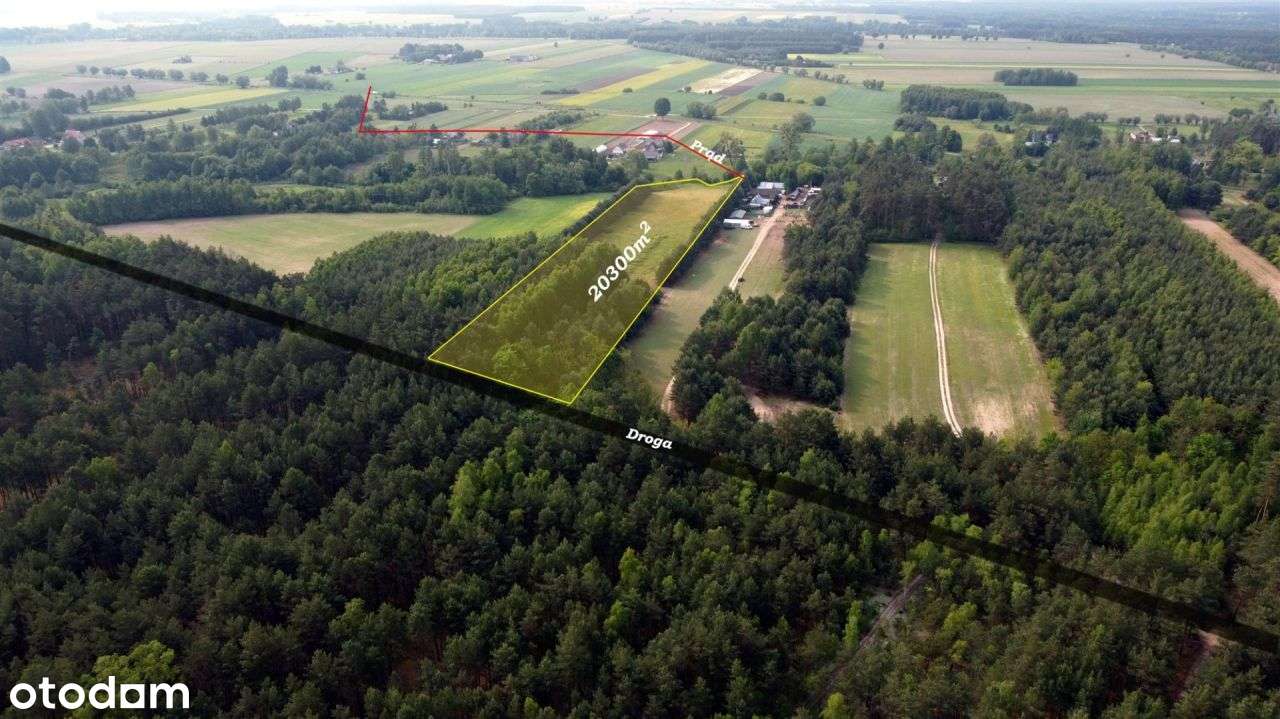 Piękna częściowo zadrzewiona działka rolna. - Pełny obrazek: 3/6