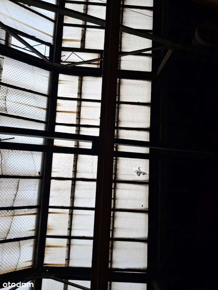 Hala / hale magazynowa produkcyjna usługi 1135m2 - Pełny obrazek: 5/19