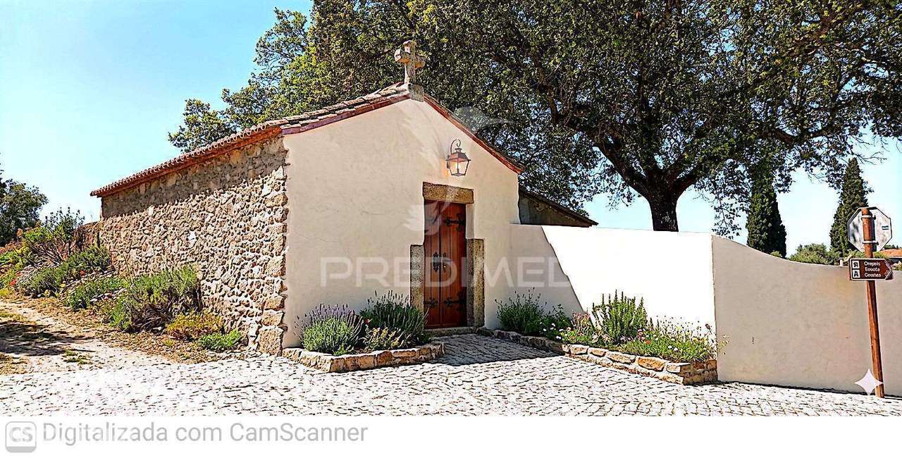 Quinta com 4,6 hectares, Monte da Pedra - Grande imagem: 4/25