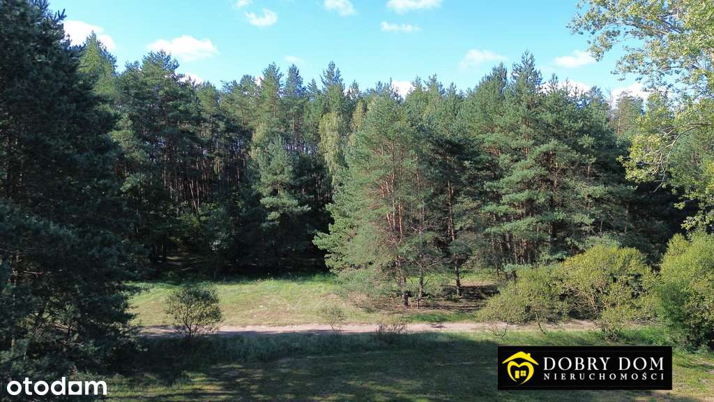 Działka leśno-rolna na Narwią - Pełny obrazek: 4/18