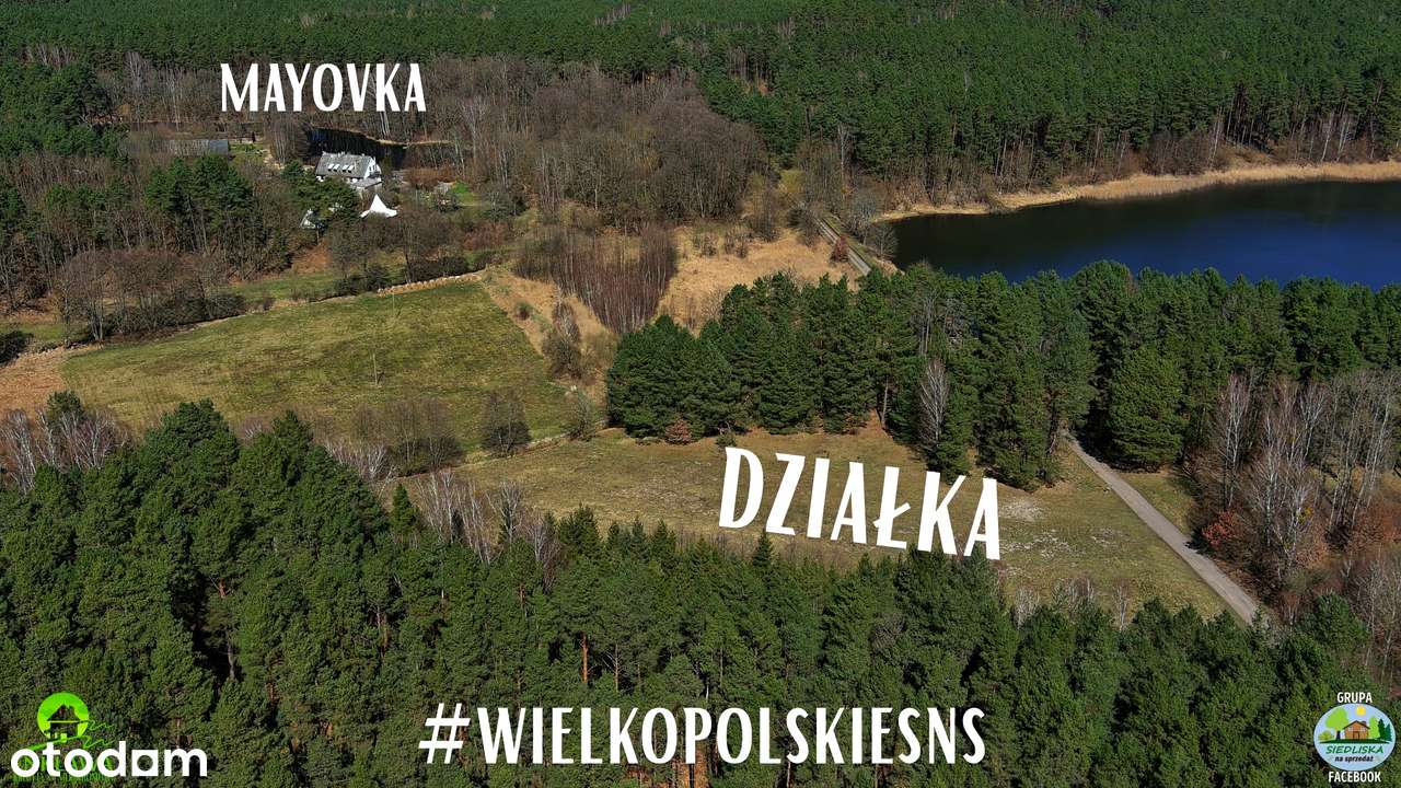 ENKLAWA prezentuje: MEGA działka pod DUŻE siedlisko! 3 km od Trzcianki - Pełny obrazek: 4/20