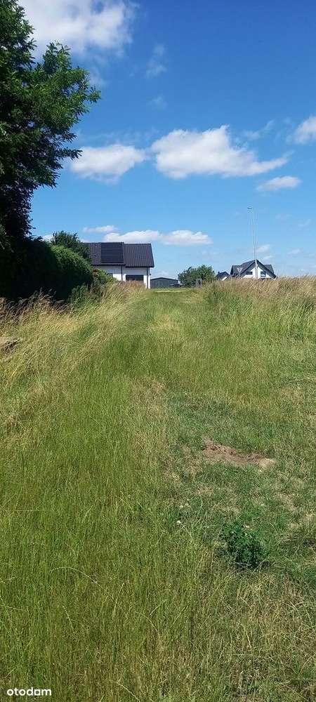 Gniechowice, działka budowlana. - Pełny obrazek: 4/5