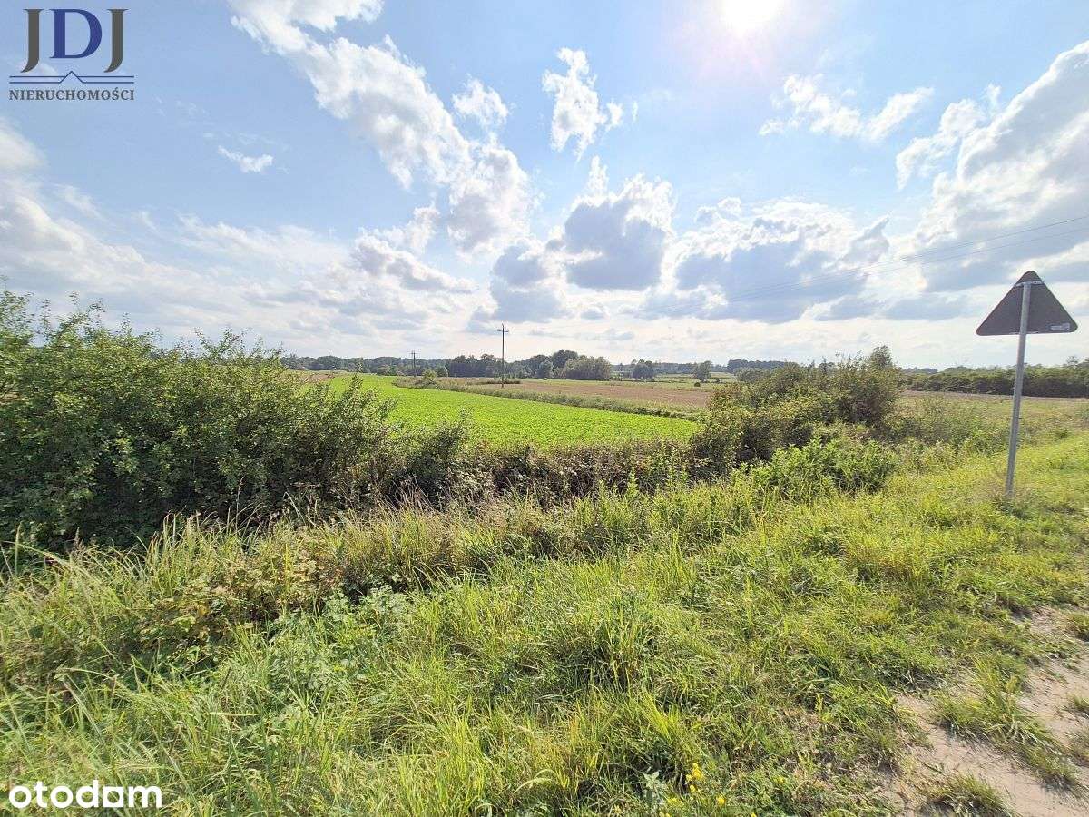 Działka 3 ha z  Warunkami Zabudowy. Kulczyn Kol. - Pełny obrazek: 5/6