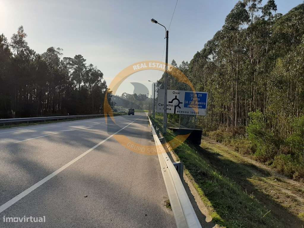 Terreno Industrial Ovar - Grande imagem: 4/8