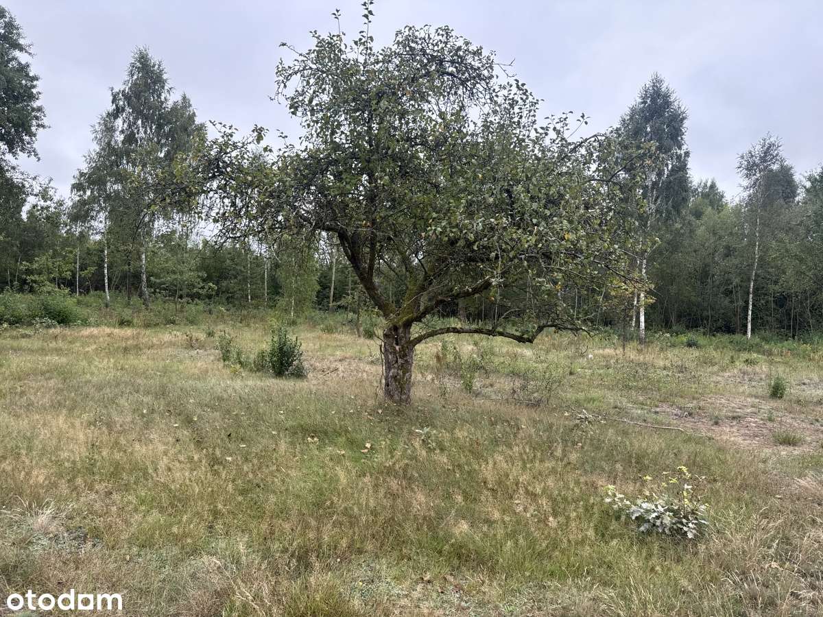 Działka bud na zamkniętym osiedlu k.Nasielska - Pełny obrazek: 5/8