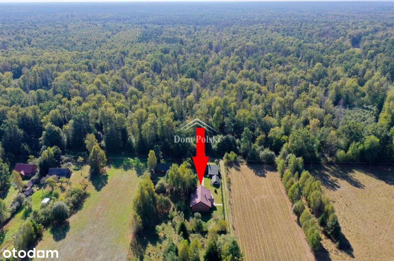 Dwa domy w stylu rustykalnym - Puszcza Białowieska - Pełny obrazek: 5/20