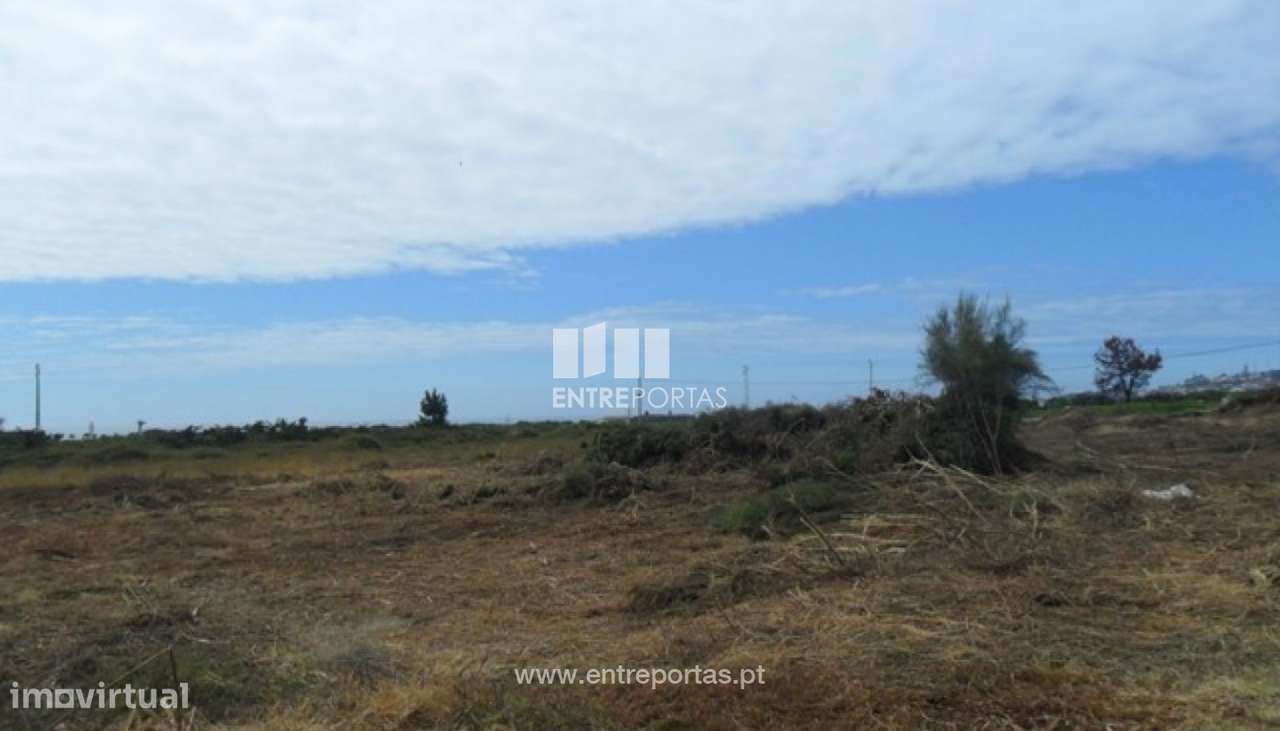 Terreno - Carreço - Grande imagem: 3/4