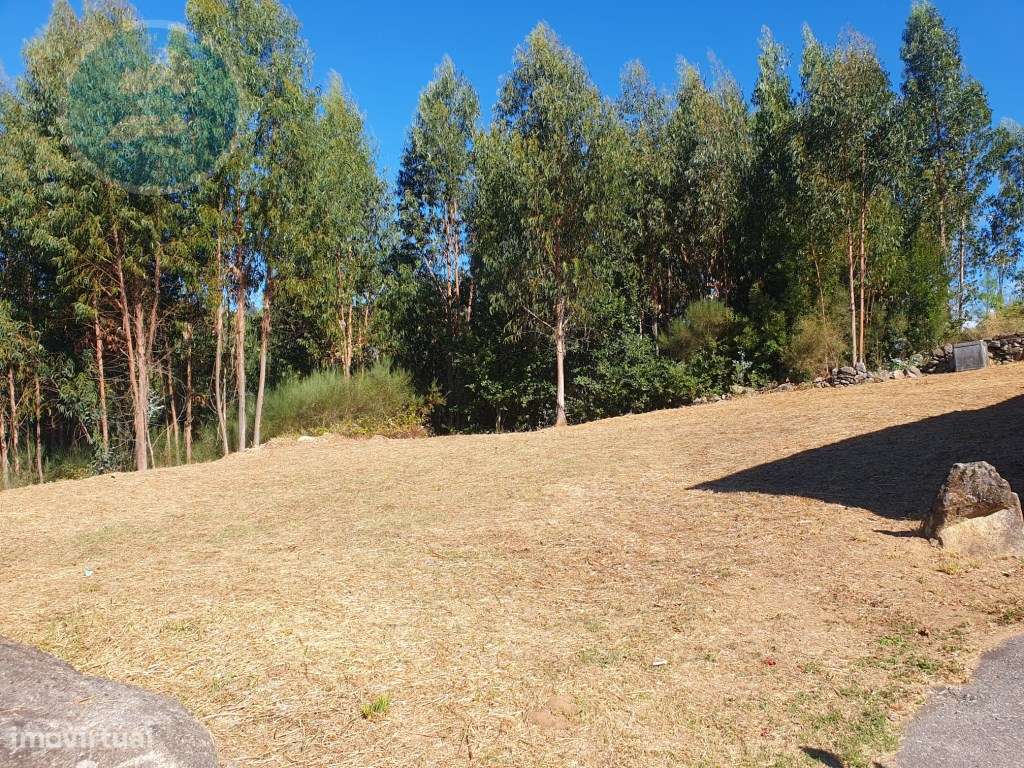 Terreno à venda- Cruz do Muro, Cabeceiras de Basto-15