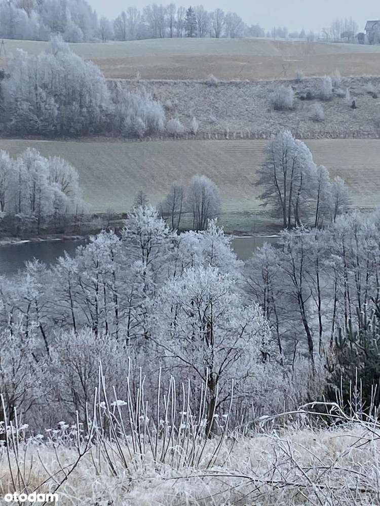 Działka z pięknym widokiem na jezioro Długie w centrum Kaszub. - Pełny obrazek: 5/9