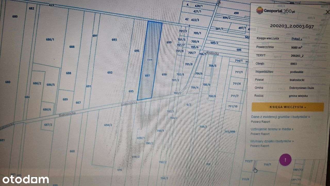 Dobrzyniewo Duże 9080 m2 Media, Asfalt, Bezpośre. - Pełny obrazek: 5/6