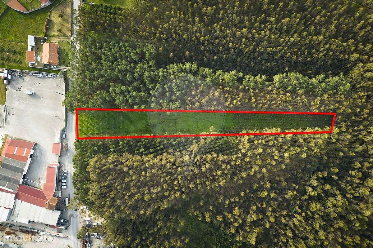 Terreno  para venda - Grande imagem: 5/8