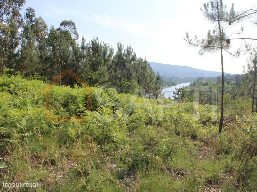 Terreno construtivo - Grande imagem: 3/13