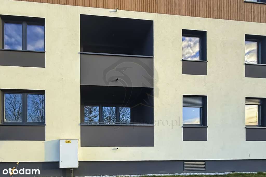 Czysty arkusz dla prawdziwego artysty - Pełny obrazek: 4/20