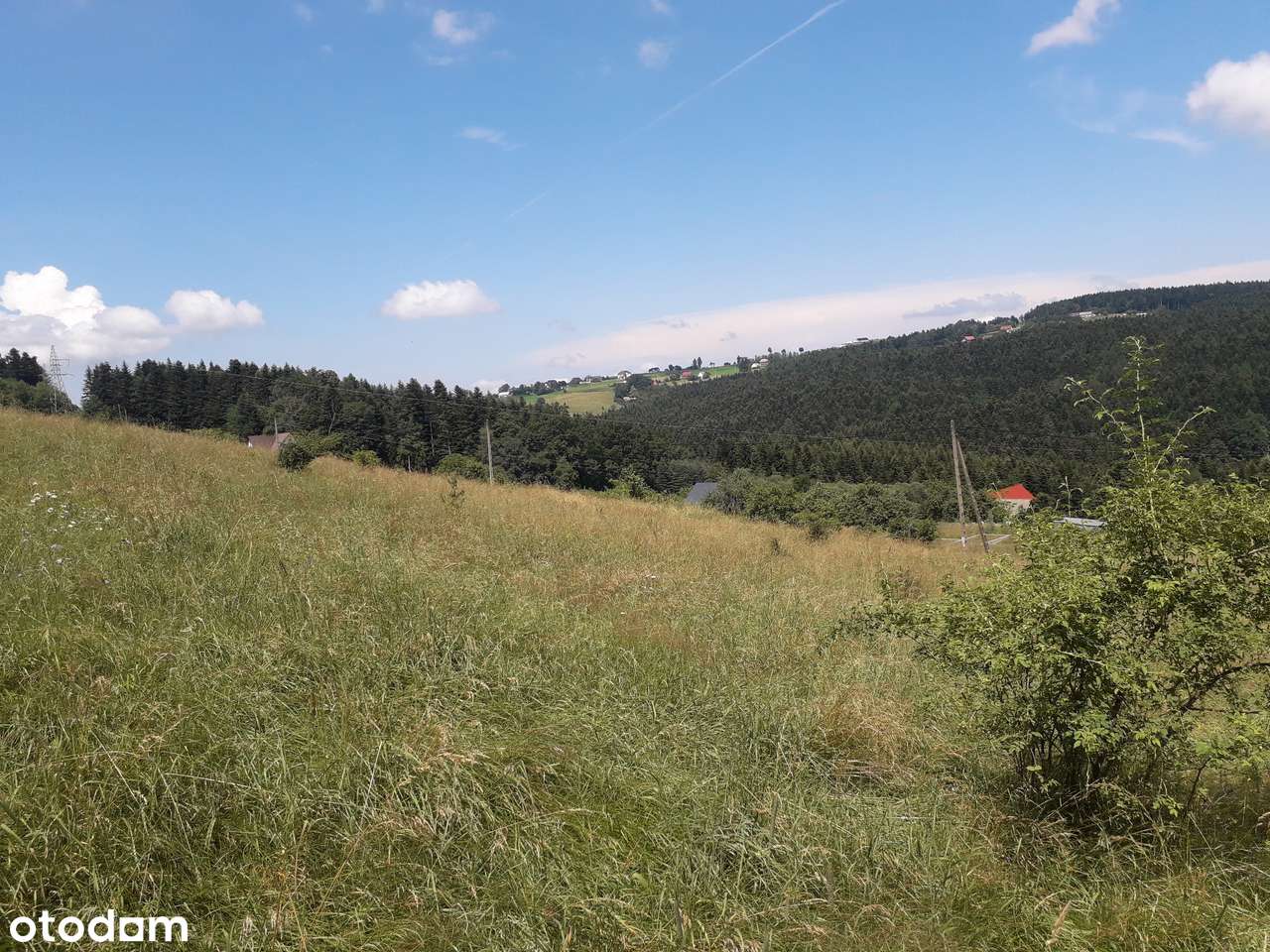 Widokowa działka budowlana - WARUNKI ZABUDOWY - zaraz przy lesie - Pełny obrazek: 4/8