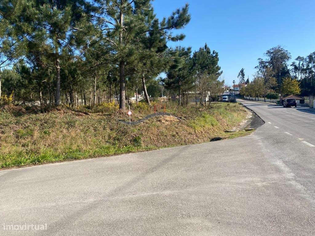 Terreno - Monte Real. - Grande imagem: 4/21