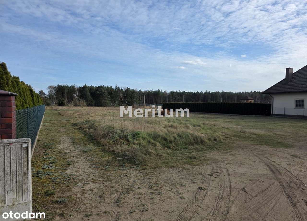 Działka 1500m2 Nowe Dąbie, warunki zabudowy, medi-1